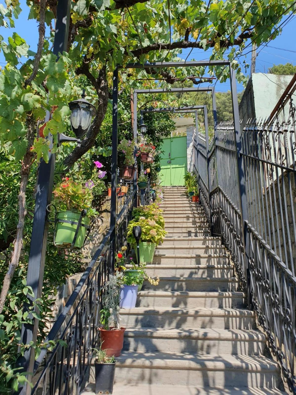 Sara Guesthouse Berat Exteriér fotografie